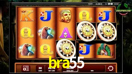 Descubra o Mundo do Cassino Online com bra55